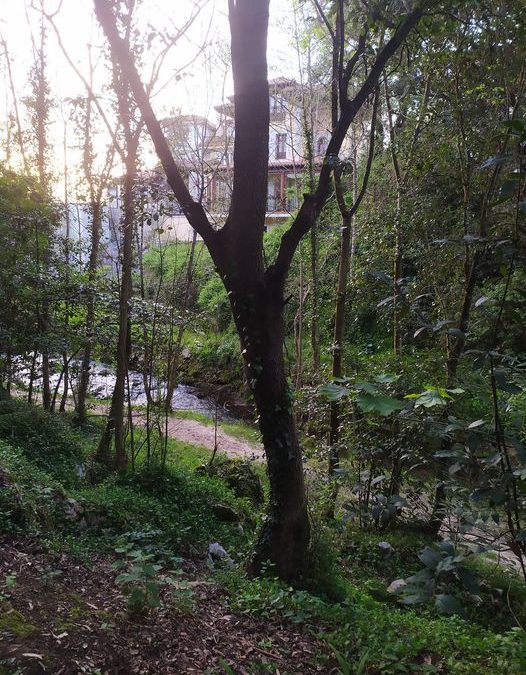 Acaba la Semana Santa. Nuestros visitantes regresan y nos queda la tarde para disfrutar de la natura…