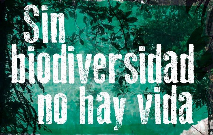 Animamos a visitar el Centro de Adultos de la Arquera y su interesante exposición….