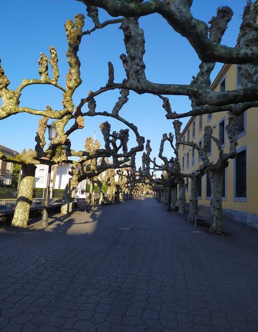 Domingo de sol y calma. La misma calma que pedimos para todos los que sufren los estragos de la guer…