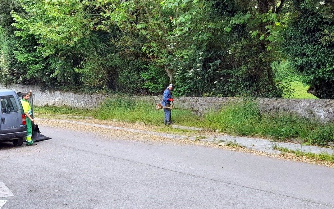 Más limpieza. Esta vez en Riegu y Puertas….