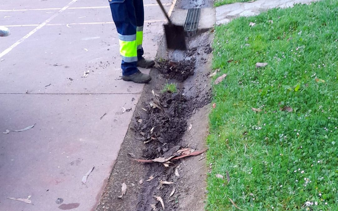 No hay tregua en la limpieza del concejo….