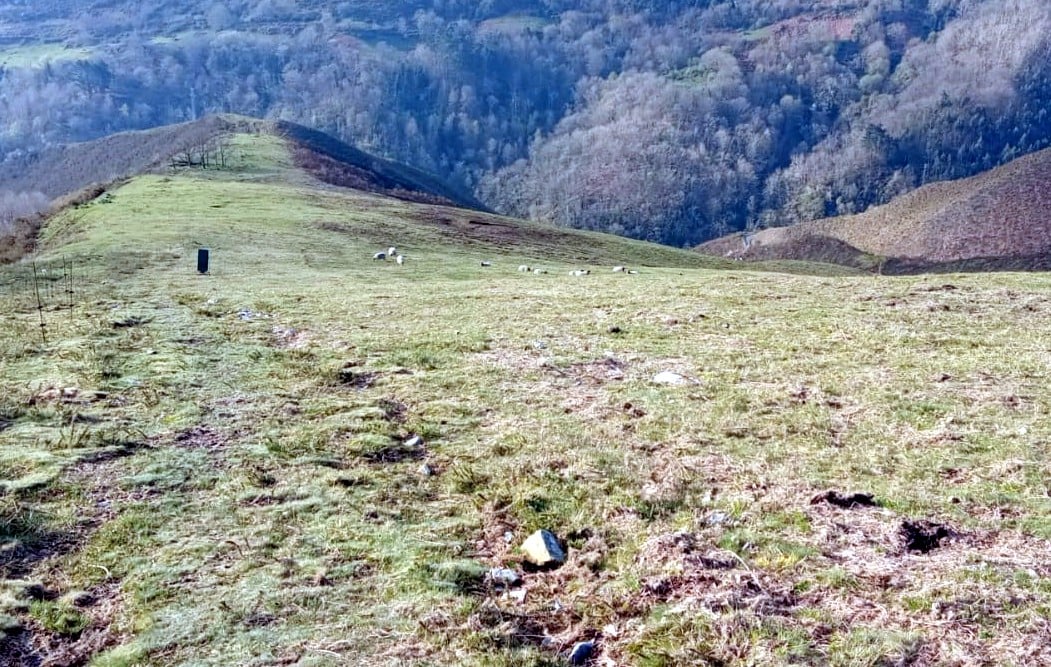 Nos tomamos muy en serio el mundo rural….