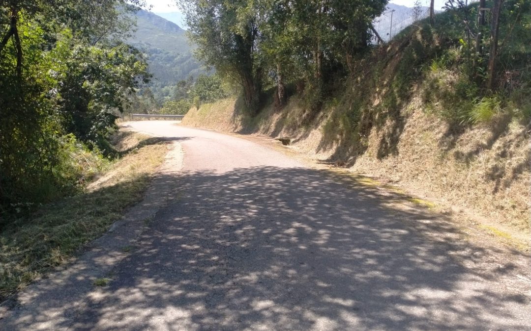 Desbroce de carretera de El Allende y de Meré a la Malatería….