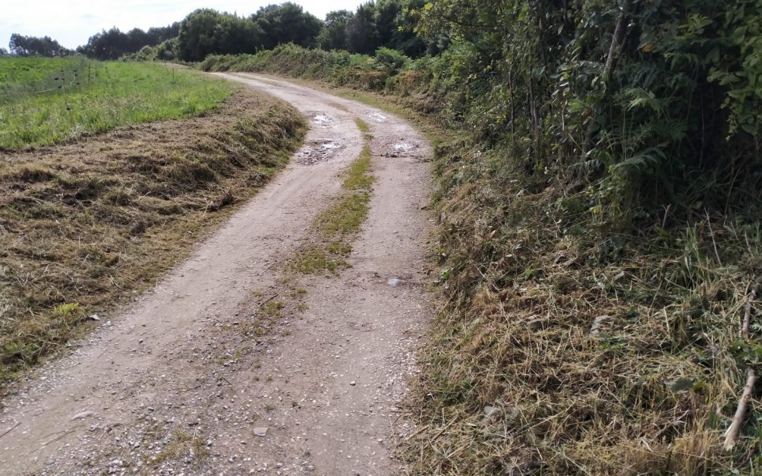 Desbroces en senda costera, Gulpiyuri, Villahormes, Hontoria, Picones, Cuevas del Mar, Villanueva de…