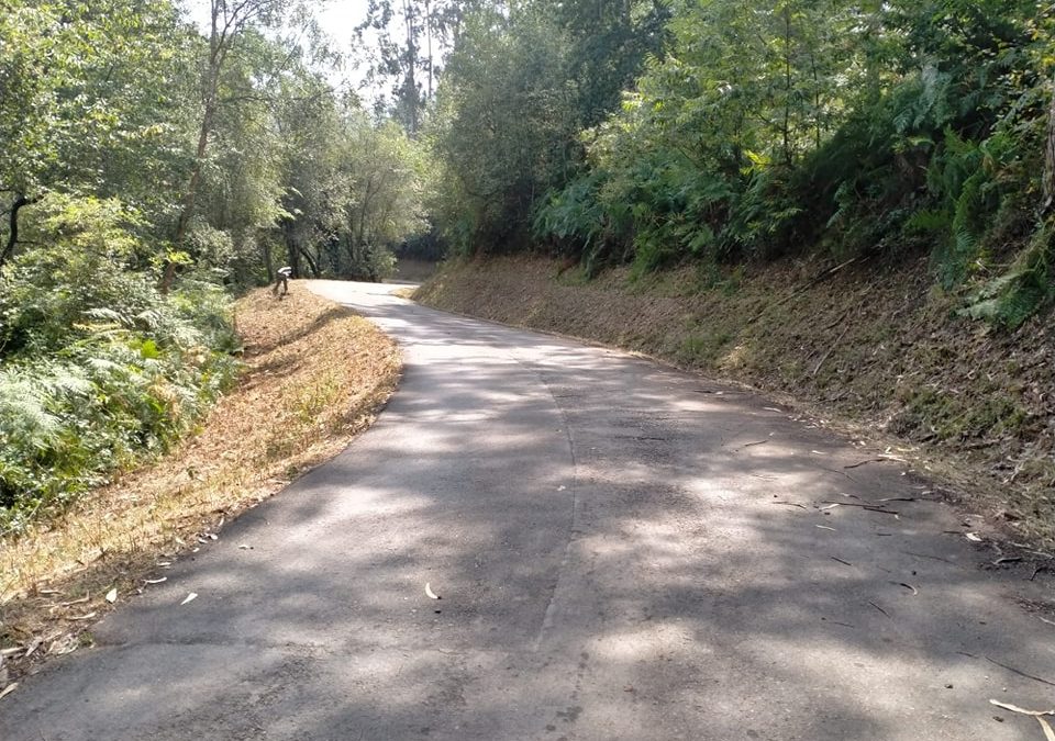 Limpieza de carreteras en el Concejo. Imparable el Concejal de Pueblos, Miguel Ángel Alonso….