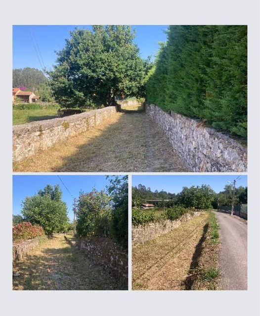 Desbroce de la riega de Nueva. Listo para las lluvias….