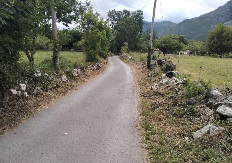 Desbroces en Los Carriles, Quintana y San Roque….