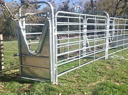 Nuestro Concejal de Agroganadería explica las causas de los retrasos en la manga de Brañavieja. La f…