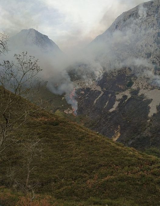 Las temperaturas anormalmente altas, la sequía y el viento de Sur son el campo abonado para que prol…