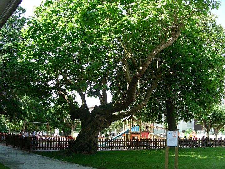 LOS TRES TRESCIENTOS MIL…