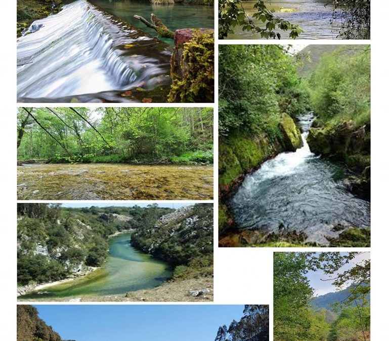 PAISAJE PROTEGIDO DE LA COSTA ORIENTAL: RÍOS BEDÓN Y PURÓN…