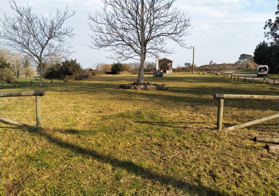 Seguimos sin hacer nada de nada….