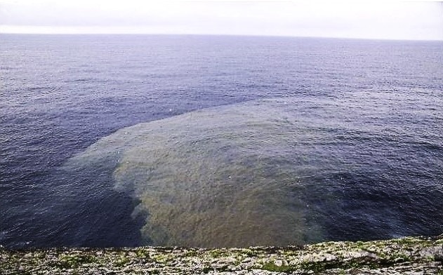 LA DEPURADORA DE LLANES: UNA INSTALACIÓN CLANDESTINA…