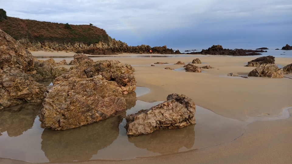 En la limpieza de playas de hoy hemos podido comprobar que, afortunadamente  cas…
